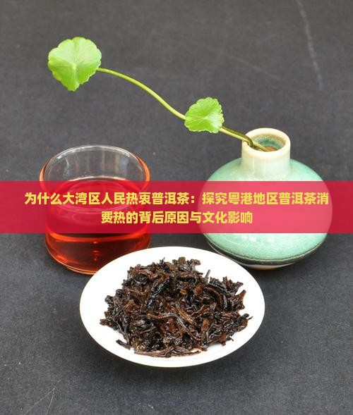 为什么大湾区人民热衷普洱茶：探究粤港地区普洱茶消费热的背后原因与文化影响