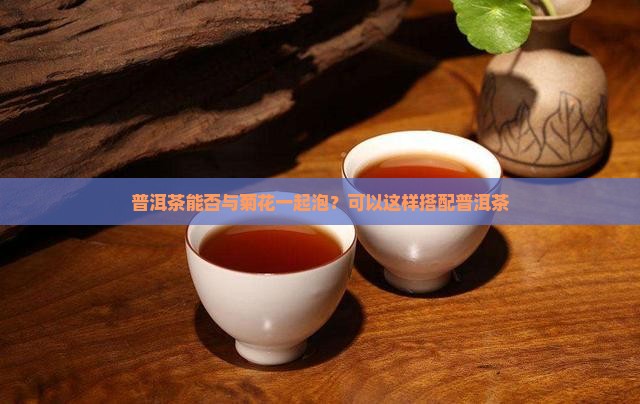 普洱茶能否与菊花一起泡？可以这样搭配普洱茶