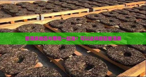 普洱茶能否与菊花一起泡？可以这样搭配普洱茶