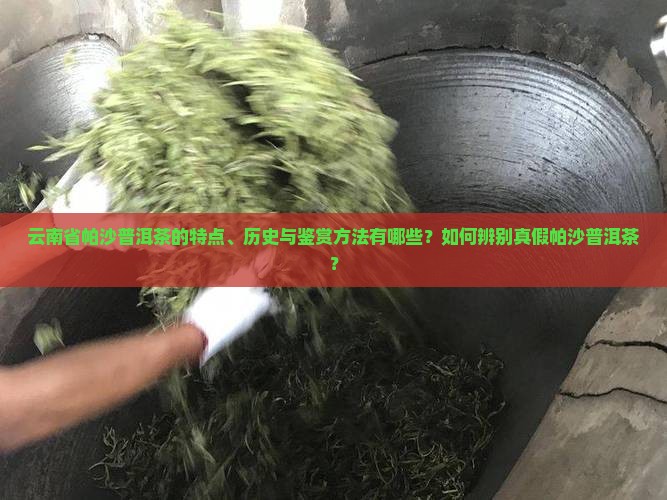 云南省帕沙普洱茶的特点、历史与鉴赏方法有哪些？如何辨别真假帕沙普洱茶？
