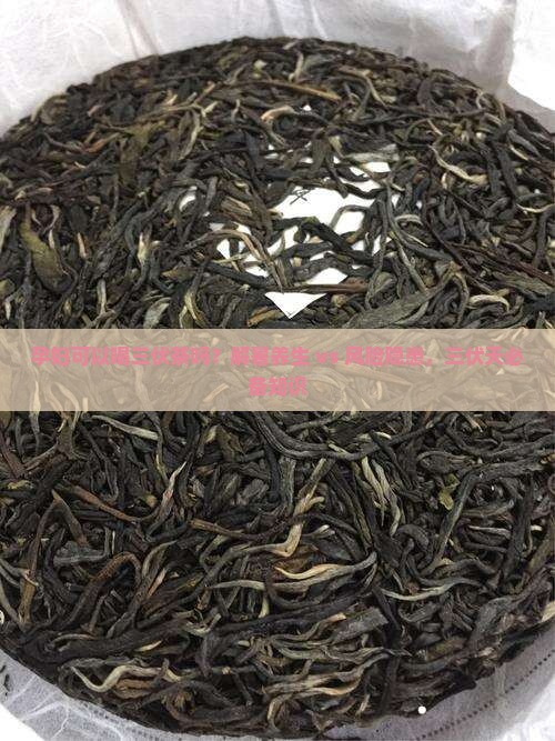 孕妇可以喝三伏茶吗？解暑养生 vs 风险隐患，三伏天必备知识