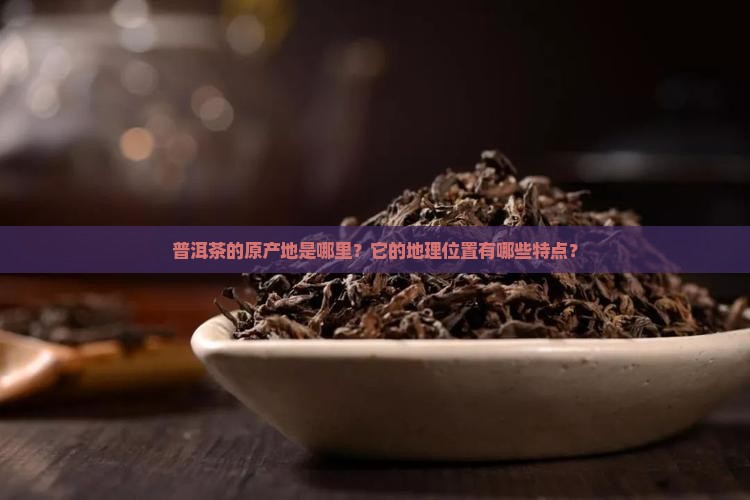 普洱茶的原产地是哪里？它的地理位置有哪些特点？