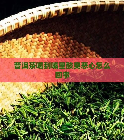 普洱茶喝到嘴里酸臭恶心怎么回事