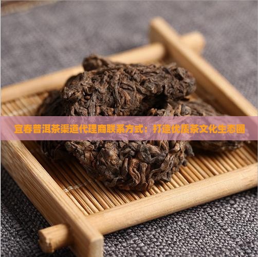 宜春普洱茶渠道代理商联系方式：打造优质茶文化生态圈