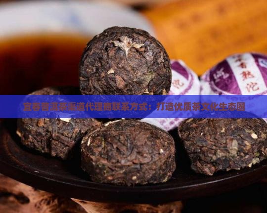宜春普洱茶渠道代理商联系方式：打造优质茶文化生态圈