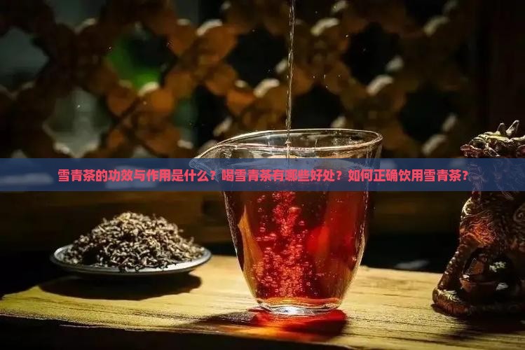 雪青茶的功效与作用是什么？喝雪青茶有哪些好处？如何正确饮用雪青茶？