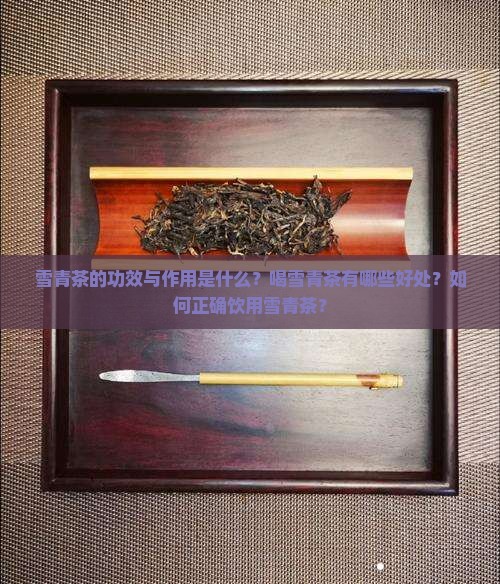 雪青茶的功效与作用是什么？喝雪青茶有哪些好处？如何正确饮用雪青茶？