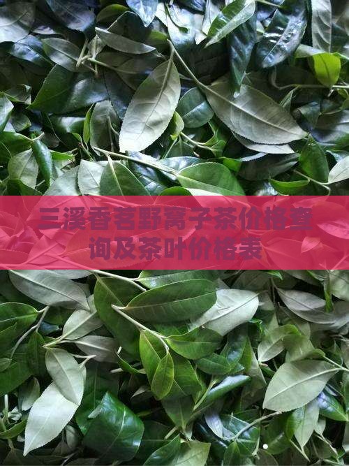 三溪香茗野窝子茶价格查询及茶叶价格表