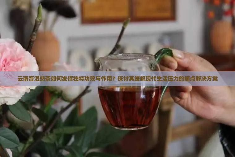 云南普洱熟茶如何发挥独特功效与作用？探讨其缓解现代生活压力的痛点解决方案