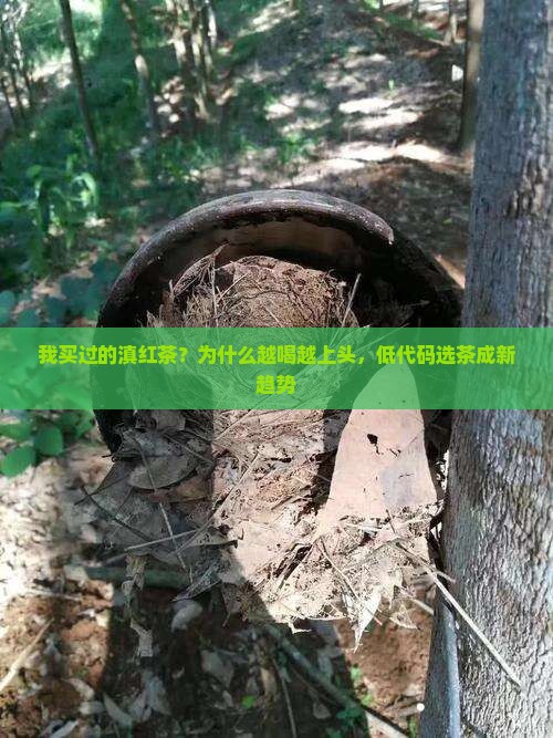 我买过的滇红茶？为什么越喝越上头，低代码选茶成新趋势