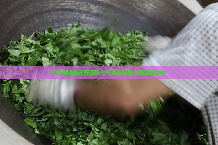 京东精选云南普洱茶 七子饼茶特惠 饼茶经典之作