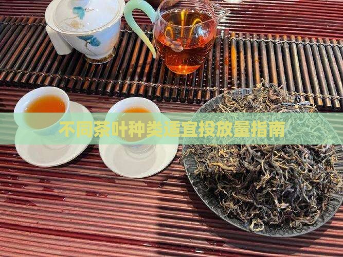 不同茶叶种类适宜投放量指南