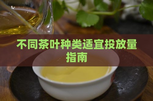 不同茶叶种类适宜投放量指南