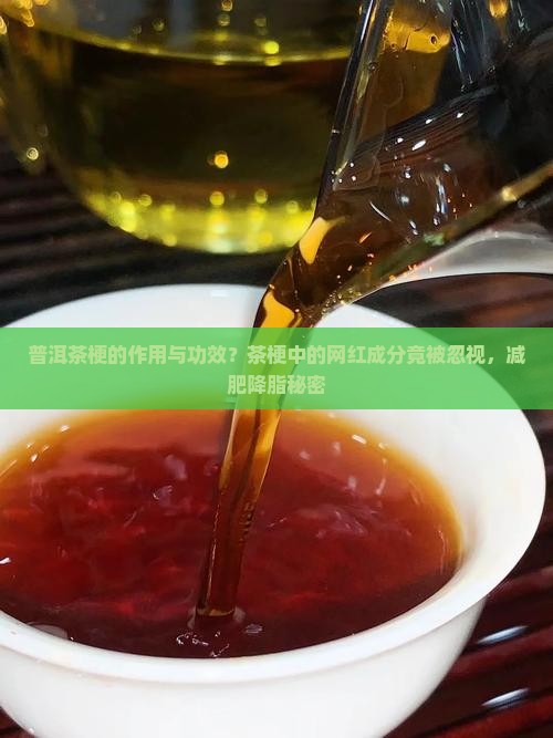 普洱茶梗的作用与功效？茶梗中的网红成分竟被忽视，减肥降脂秘密