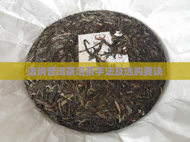 选购普洱茶泡茶手法及选购要诀