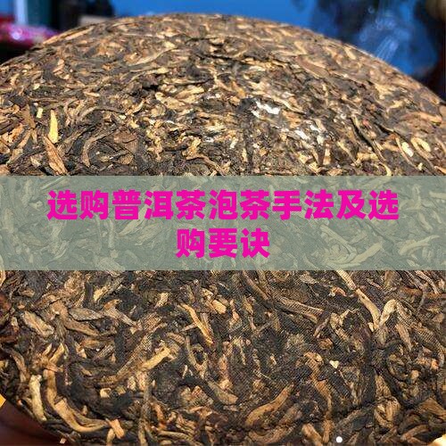 选购普洱茶泡茶手法及选购要诀