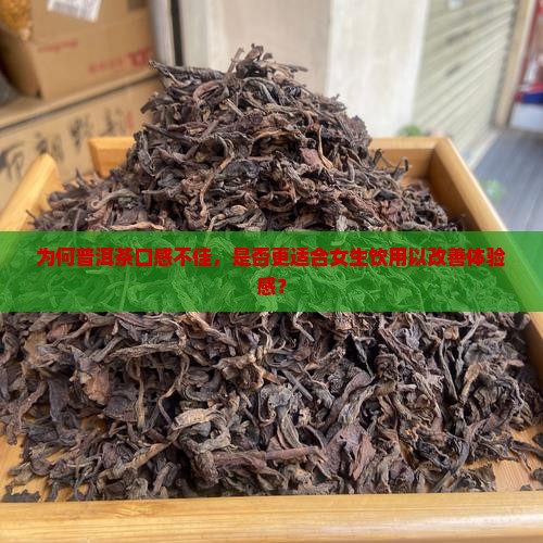 为何普洱茶口感不佳，是否更适合女生饮用以改善体验感？