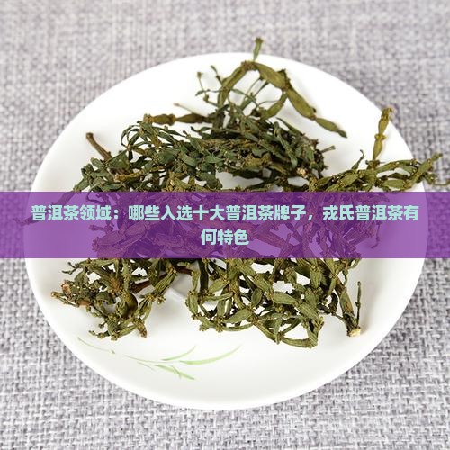 普洱茶领域：哪些入选十大普洱茶牌子，戎氏普洱茶有何特色