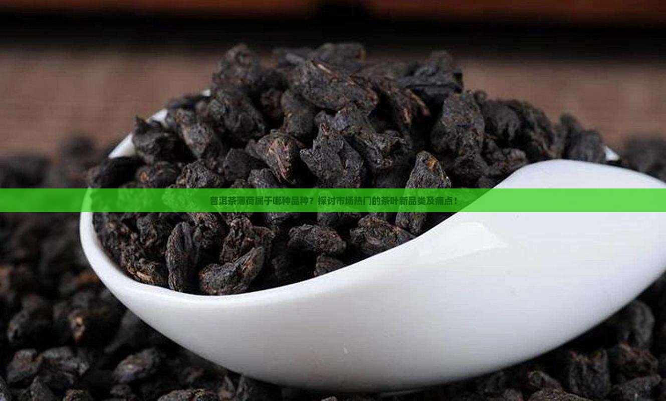 普洱茶薄荷属于哪种品种？探讨市场热门的茶叶新品类及痛点！
