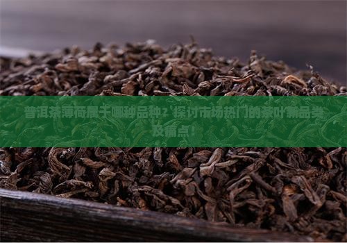 普洱茶薄荷属于哪种品种？探讨市场热门的茶叶新品类及痛点！