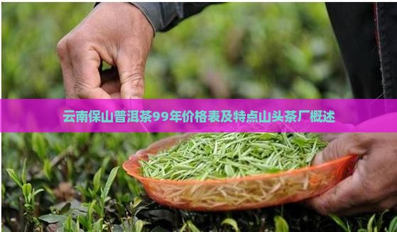 云南保山普洱茶99年价格表及特点山头茶厂概述