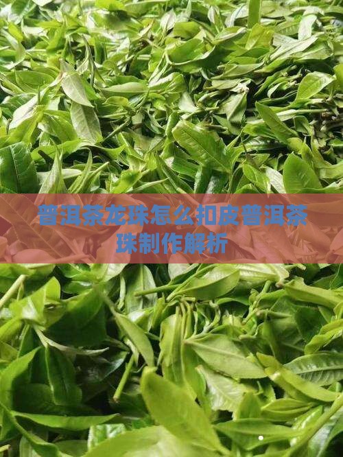 普洱茶龙珠怎么扣皮普洱茶珠制作解析