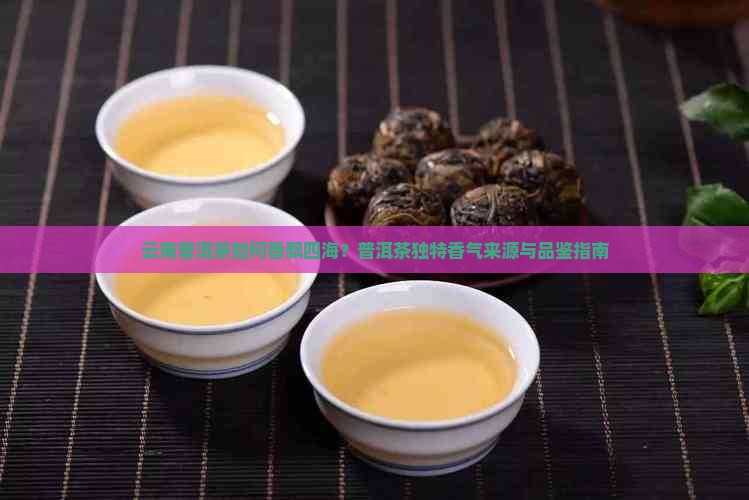 云南普洱茶如何香飘四海？普洱茶独特香气来源与品鉴指南