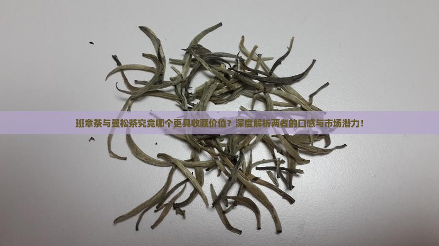 班章茶与曼松茶究竟哪个更具收藏价值？深度解析两者的口感与市场潜力！