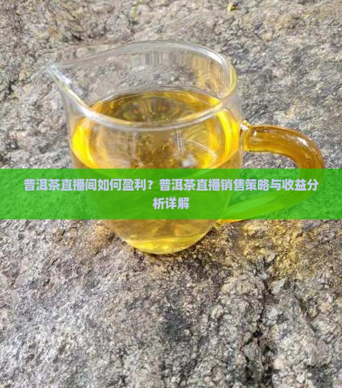 普洱茶直播间如何盈利？普洱茶直播销售策略与收益分析详解