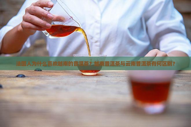 法国人为什么喜欢越南的普洱茶？越南普洱茶与云南普洱茶有何区别？