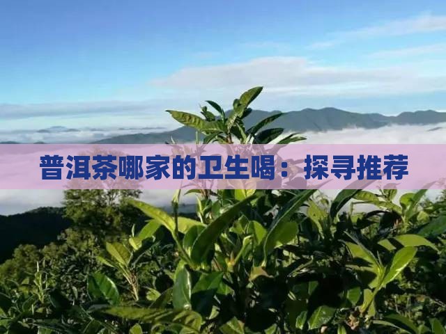 普洱茶哪家的卫生喝：探寻推荐