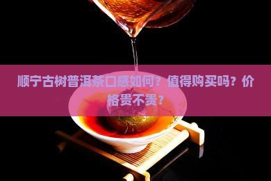 顺宁古树普洱茶口感如何？值得购买吗？价格贵不贵？