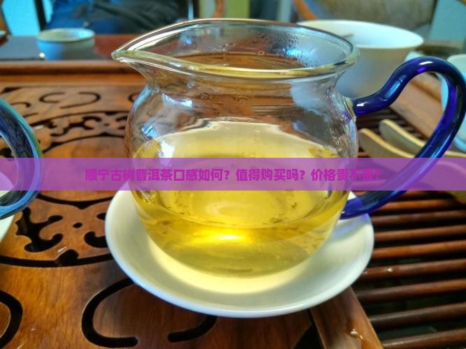 顺宁古树普洱茶口感如何？值得购买吗？价格贵不贵？