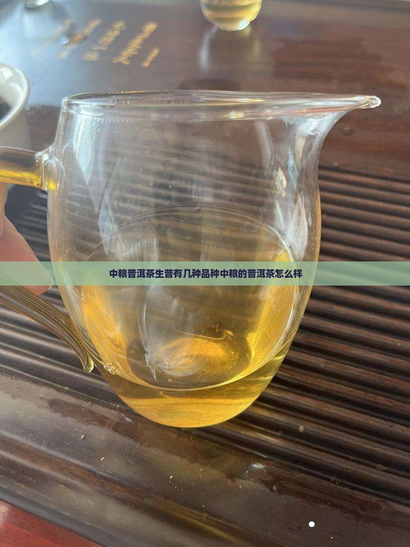 中粮普洱茶生普有几种品种中粮的普洱茶怎么样