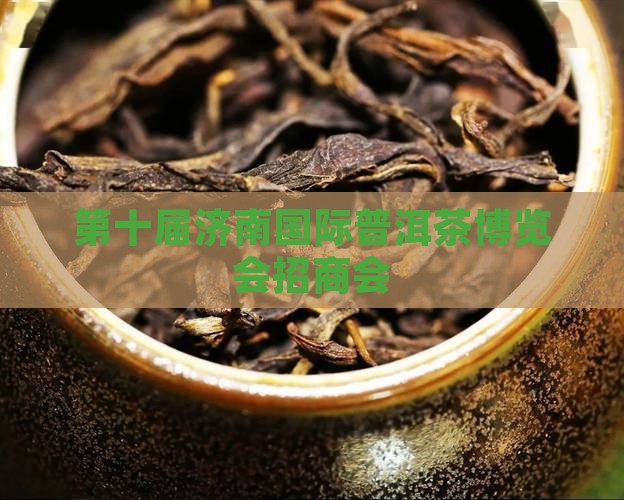 第十届济南国际普洱茶博览会招商会