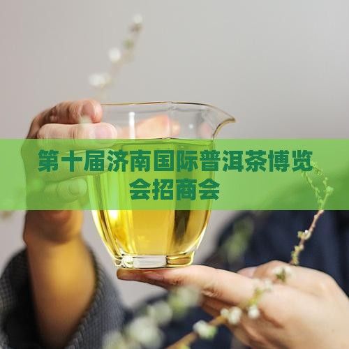 第十届济南国际普洱茶博览会招商会