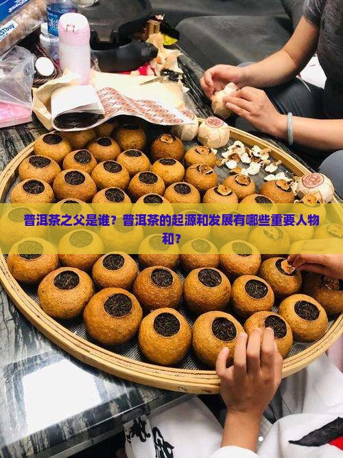 普洱茶之父是谁？普洱茶的起源和发展有哪些重要人物和？