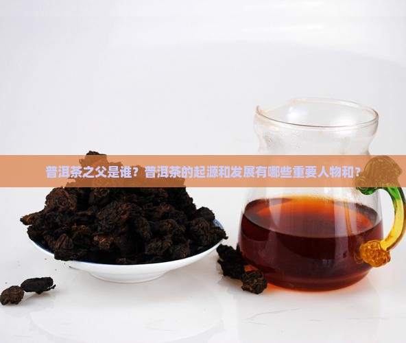 普洱茶之父是谁？普洱茶的起源和发展有哪些重要人物和？