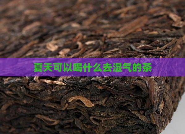 夏天可以喝什么去湿气的茶