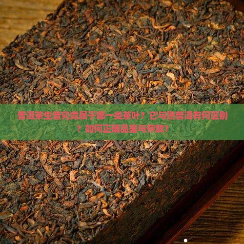普洱茶生普究竟属于哪一类茶叶？它与熟普洱有何区别？如何正确品鉴与存放？