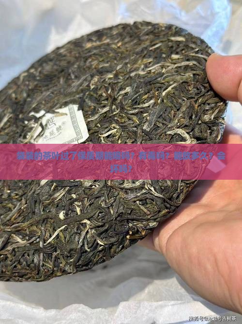 袋装的茶叶过了保质期能喝吗？有毒吗？能放多久？会坏吗？