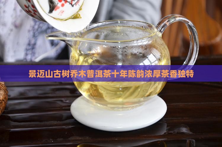 景迈山古树乔木普洱茶十年陈韵浓厚茶香独特