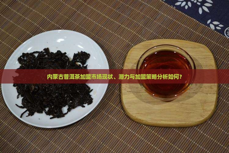 内蒙古普洱茶加盟市场现状、潜力与加盟策略分析如何？