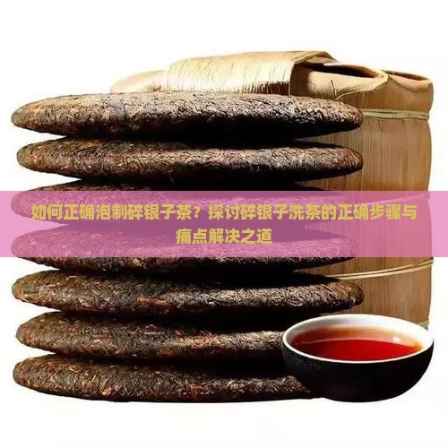 如何正确泡制碎银子茶？探讨碎银子洗茶的正确步骤与痛点解决之道