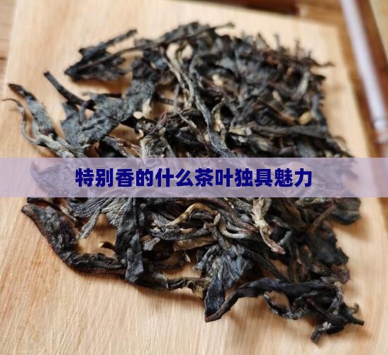 特别香的什么茶叶独具魅力