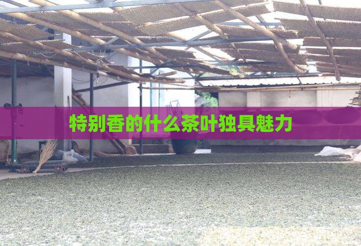 特别香的什么茶叶独具魅力