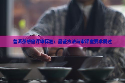 普洱茶感官评审标准：品鉴方法与审评室要求概述