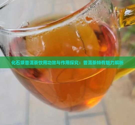 化石级普洱茶饮用功效与作用探究：普洱茶特有魅力解析