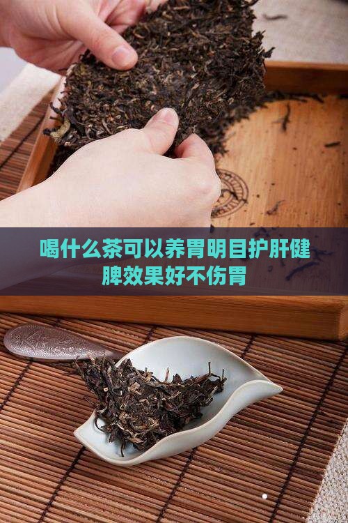 喝什么茶可以养胃明目护肝健脾效果好不伤胃