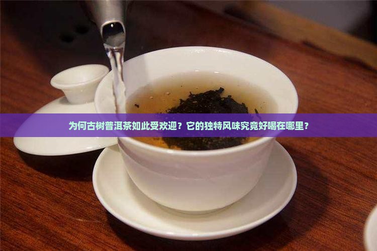 为何古树普洱茶如此受欢迎？它的独特风味究竟好喝在哪里？